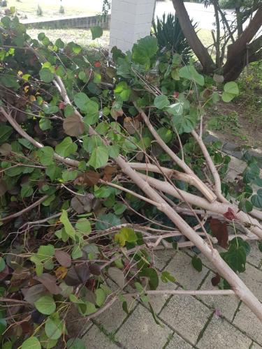 WhatsApp Image 2023-11-26 at 6.09.33 PM (1)