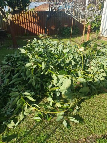 WhatsApp Image 2023-11-26 at 6.09.33 PM