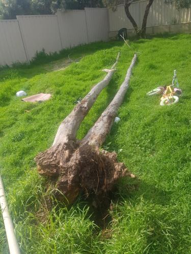 WhatsApp Image 2023-11-26 at 6.09.36 PM